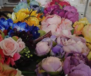 viele Blumen von Miranda's Choice