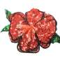 Preview: hair flower red hibiscus sparkling