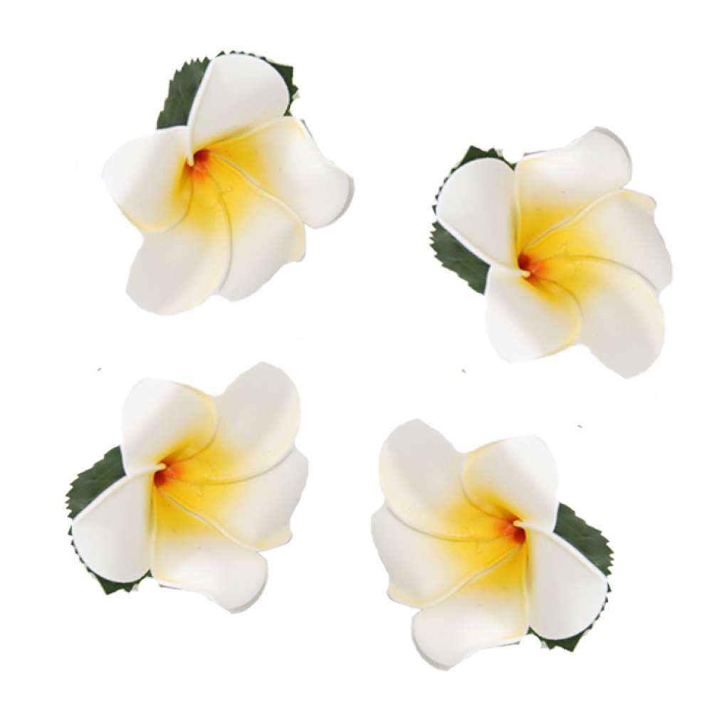 white frangipani hair flower